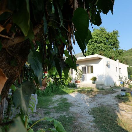 Tropikal - Freskia Bunec Saranda Zewnętrze zdjęcie